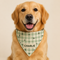 Renna Personalized Dog Bandana – Gingham