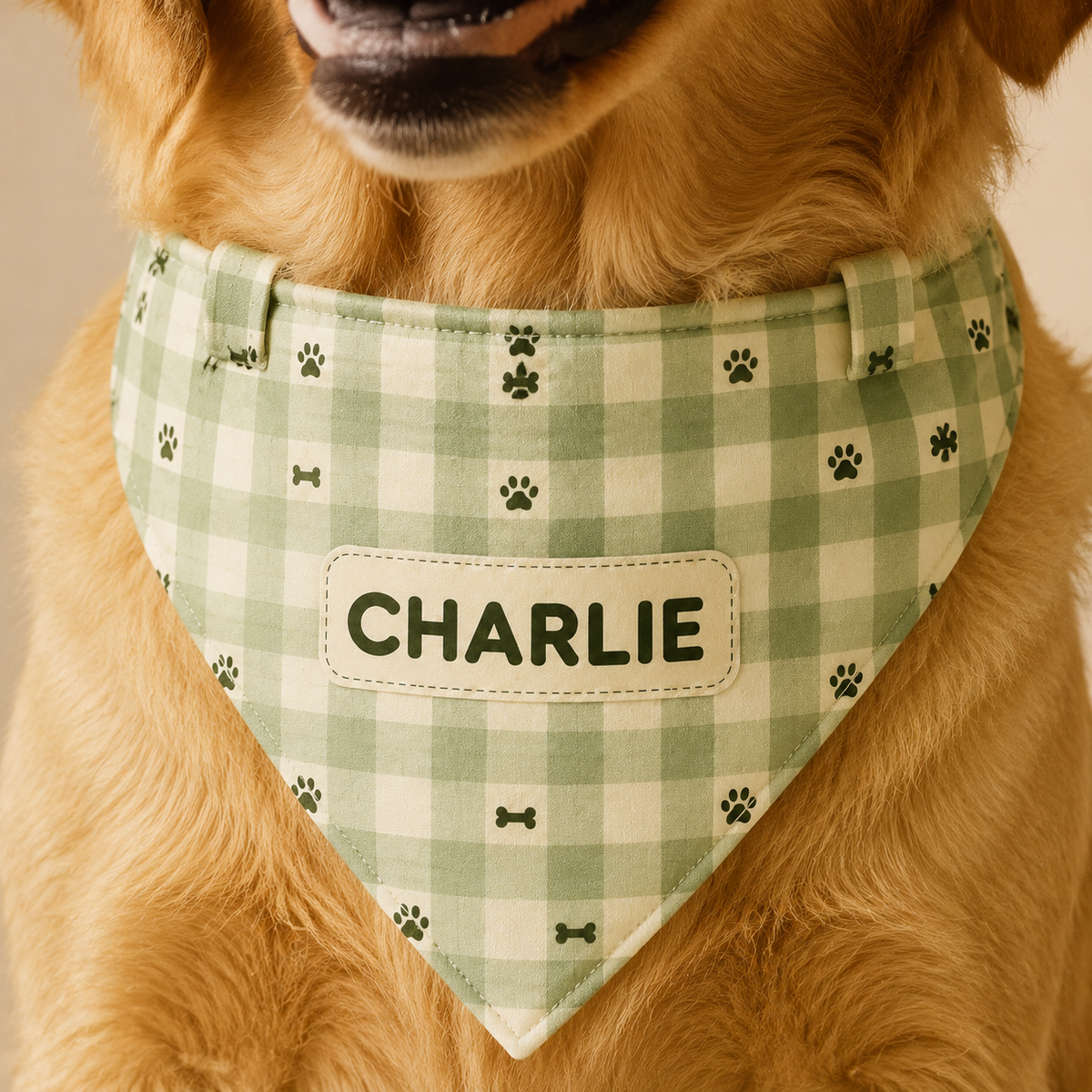 Renna Personalized Dog Bandana – Gingham