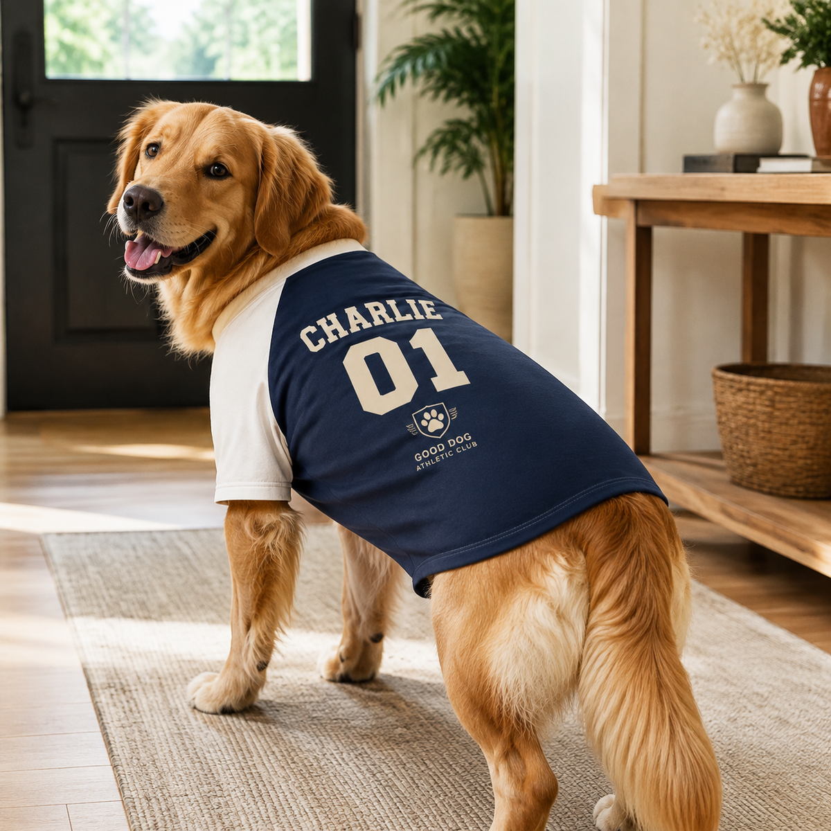 Renna Personalized Dog Jersey