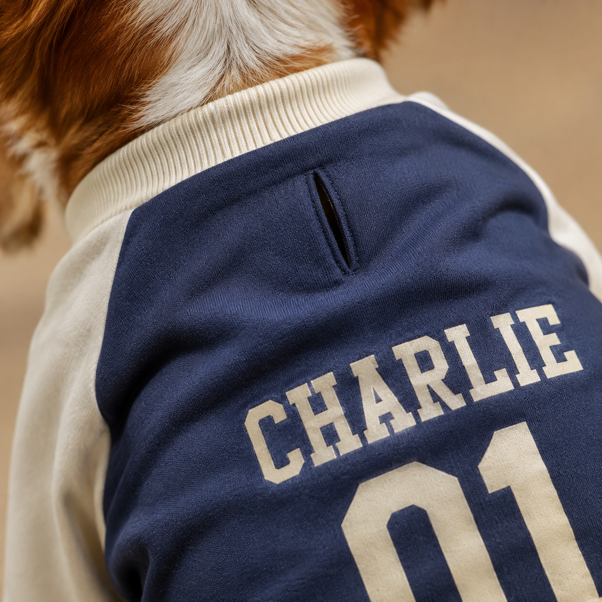 Renna Personalized Dog Jersey