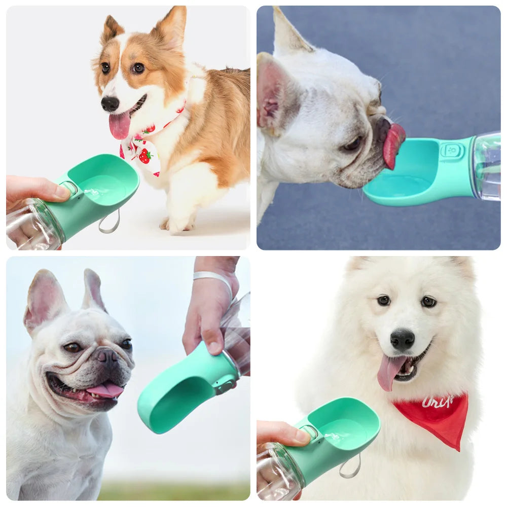 RENNA PET GoHydrate Portable Dog Water Bottle